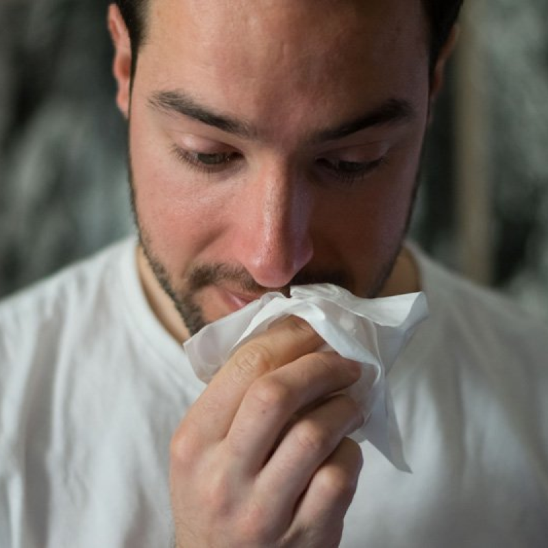 Polo Salute Lucca | Allergologia