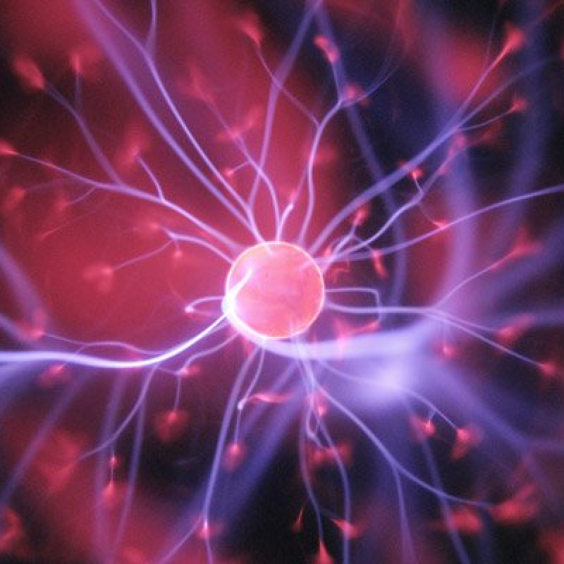 Polo Salute Lucca | Neurologia e Neurofisiopatologia